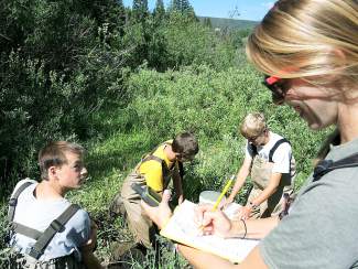 High school students monitor stream health for the Forest Service