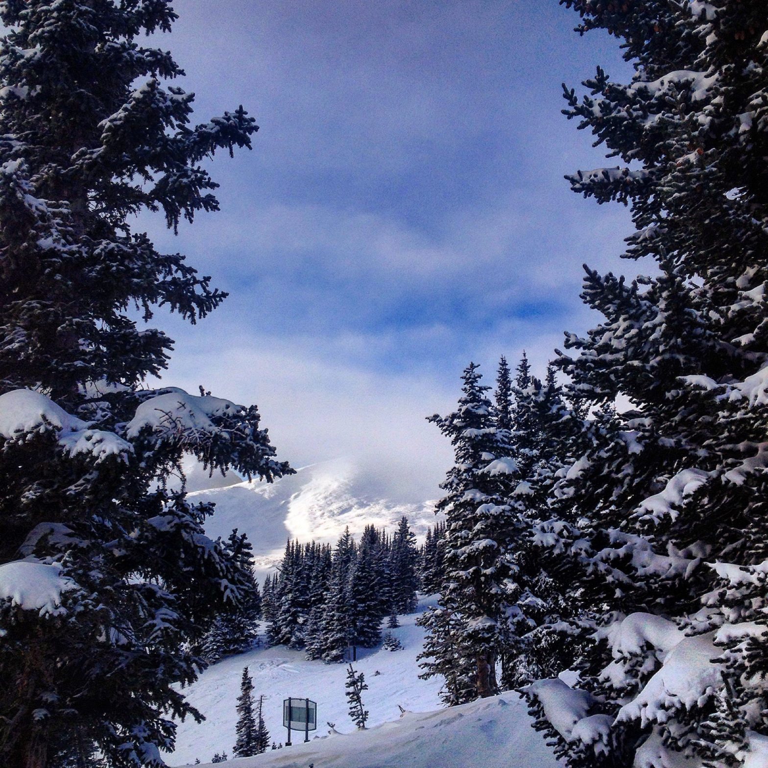 Photo of snowy spruce trees and peaks near Breckenridge Colorado